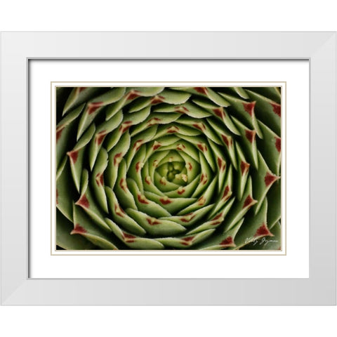 Floral Labyrinth I Color White Modern Wood Framed Art Print with Double Matting by Geyman, Vitaly