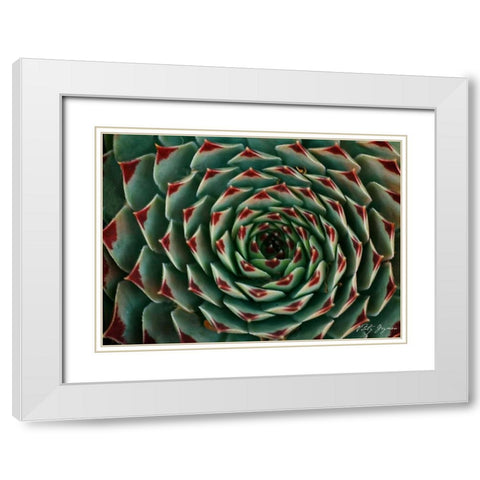 Floral Labyrinth II Color White Modern Wood Framed Art Print with Double Matting by Geyman, Vitaly