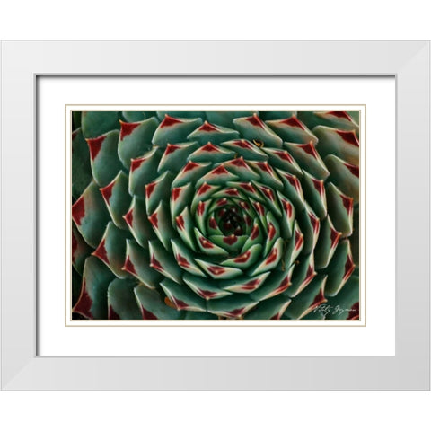 Floral Labyrinth II Color White Modern Wood Framed Art Print with Double Matting by Geyman, Vitaly
