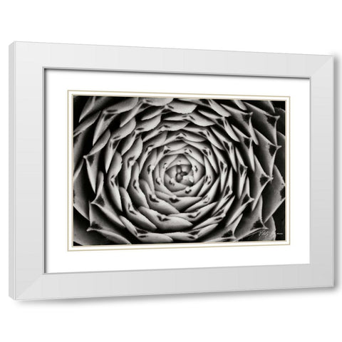 Floral Labyrinth I White Modern Wood Framed Art Print with Double Matting by Geyman, Vitaly