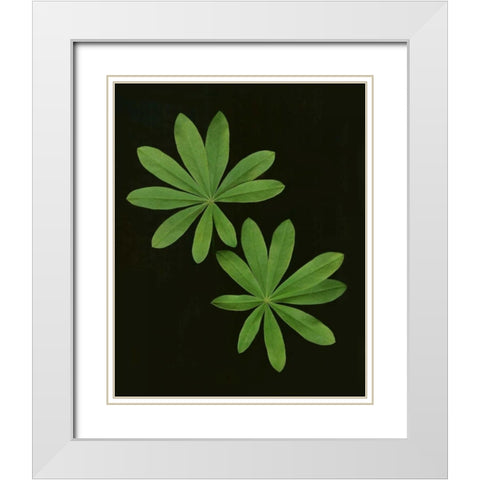 Green Leaves I White Modern Wood Framed Art Print with Double Matting by Geyman, Vitaly