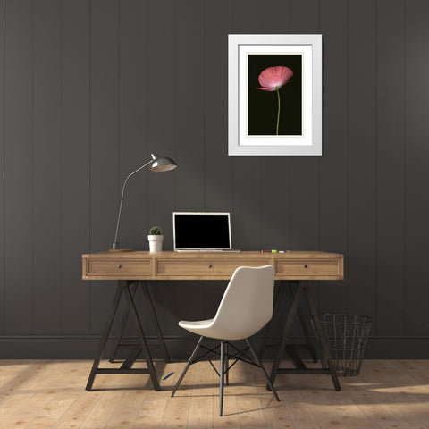 Pink Poppy I White Modern Wood Framed Art Print with Double Matting by Geyman, Vitaly