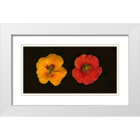 Nasturtiums Duet White Modern Wood Framed Art Print with Double Matting by Geyman, Vitaly