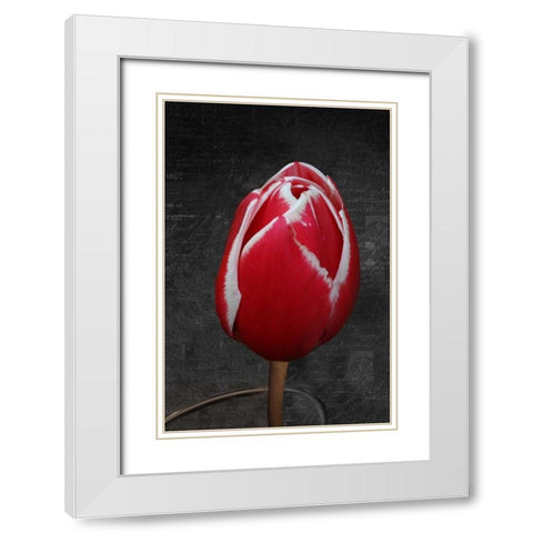 Tulip Letter III White Modern Wood Framed Art Print with Double Matting by Geyman, Vitaly