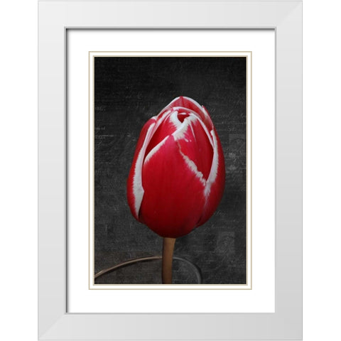 Tulip Letter III White Modern Wood Framed Art Print with Double Matting by Geyman, Vitaly