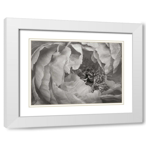 Floral Intimacy VI White Modern Wood Framed Art Print with Double Matting by Geyman, Vitaly