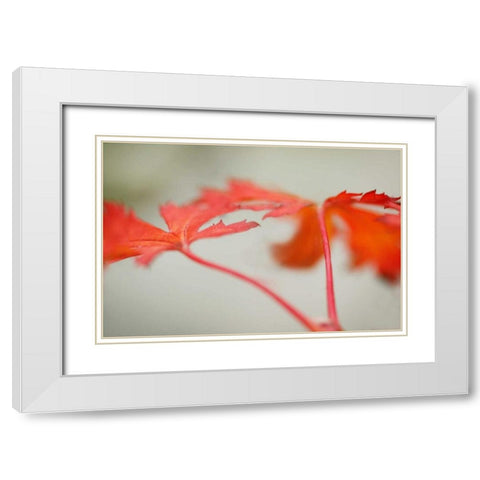Maple In Style I White Modern Wood Framed Art Print with Double Matting by Geyman, Vitaly