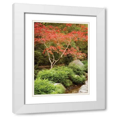 Japanese Park I White Modern Wood Framed Art Print with Double Matting by Geyman, Vitaly