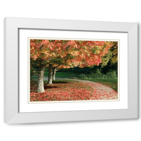 Fall Maple Fever IV White Modern Wood Framed Art Print with Double Matting by Geyman, Vitaly