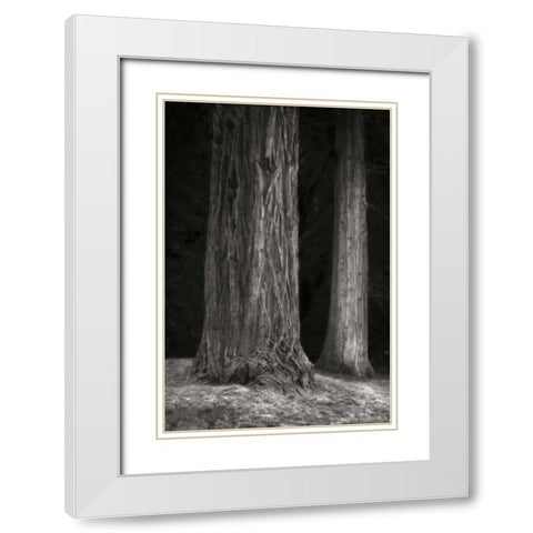 Ancient Forest II BandW White Modern Wood Framed Art Print with Double Matting by Geyman, Vitaly