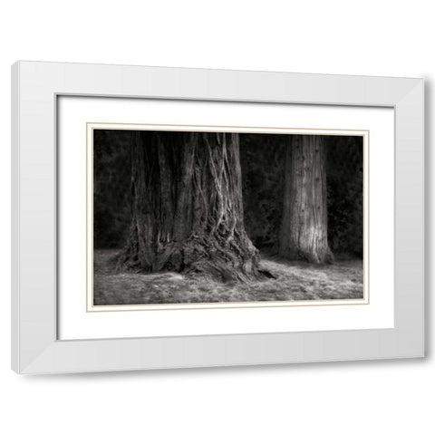 Ancient Forest IV BandW White Modern Wood Framed Art Print with Double Matting by Geyman, Vitaly