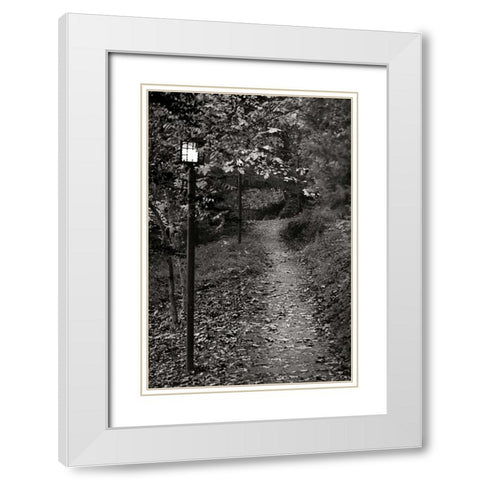 Autumn Path I BandW White Modern Wood Framed Art Print with Double Matting by Geyman, Vitaly