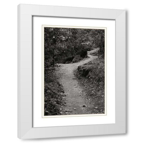 Autumn Path II BandW White Modern Wood Framed Art Print with Double Matting by Geyman, Vitaly