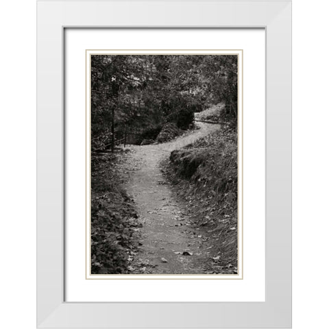 Autumn Path II BandW White Modern Wood Framed Art Print with Double Matting by Geyman, Vitaly