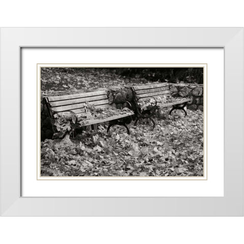 Autumn Paradise I BandW White Modern Wood Framed Art Print with Double Matting by Geyman, Vitaly