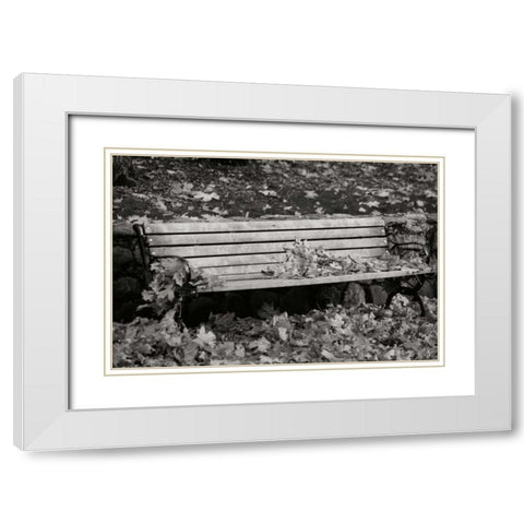 Autumn Paradise II BandW White Modern Wood Framed Art Print with Double Matting by Geyman, Vitaly