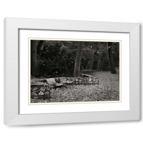 Autumn Paradise III BandW White Modern Wood Framed Art Print with Double Matting by Geyman, Vitaly