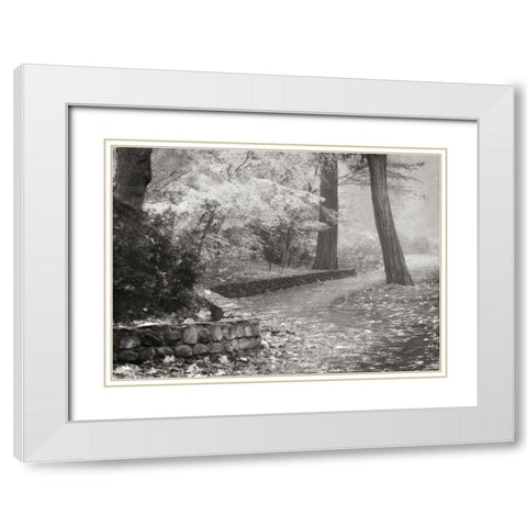 Autumn Paradise IV BandW White Modern Wood Framed Art Print with Double Matting by Geyman, Vitaly