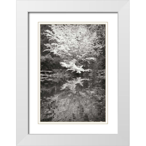 Fall Bouquet I BandW White Modern Wood Framed Art Print with Double Matting by Geyman, Vitaly