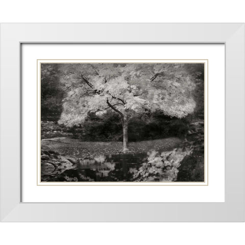 Autumn Reflections III BandW White Modern Wood Framed Art Print with Double Matting by Geyman, Vitaly