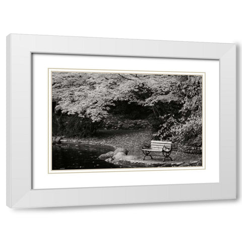 Autumn Trio II BandW White Modern Wood Framed Art Print with Double Matting by Geyman, Vitaly