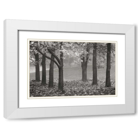 Colors in the Mist VII BandW White Modern Wood Framed Art Print with Double Matting by Geyman, Vitaly