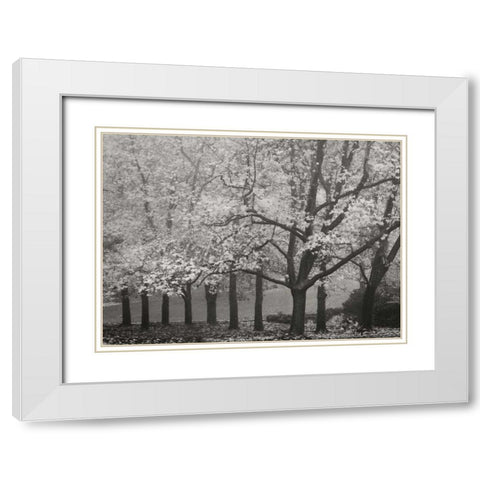 Colors in the Mist VIII BandW White Modern Wood Framed Art Print with Double Matting by Geyman, Vitaly