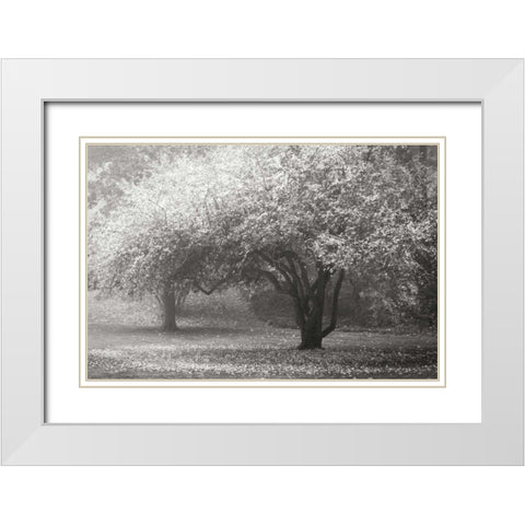 Autumn Japanese Maple BandW White Modern Wood Framed Art Print with Double Matting by Geyman, Vitaly