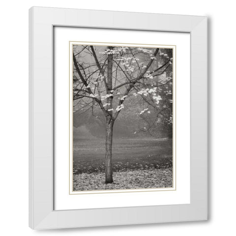Maple Delicacy I BandW White Modern Wood Framed Art Print with Double Matting by Geyman, Vitaly