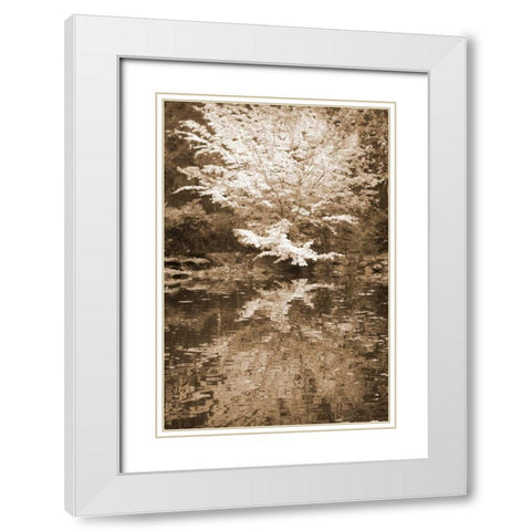 Fall Bouquet I White Modern Wood Framed Art Print with Double Matting by Geyman, Vitaly