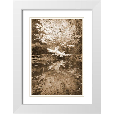 Fall Bouquet I White Modern Wood Framed Art Print with Double Matting by Geyman, Vitaly