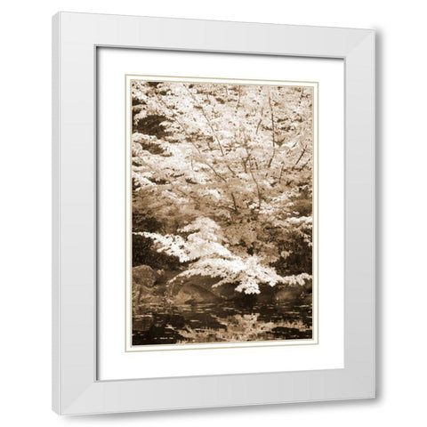 Fall Bouquet II White Modern Wood Framed Art Print with Double Matting by Geyman, Vitaly