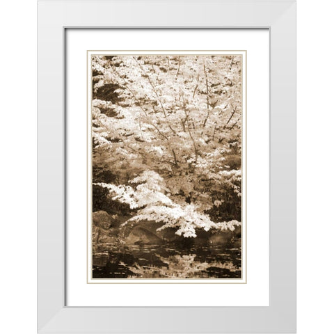 Fall Bouquet II White Modern Wood Framed Art Print with Double Matting by Geyman, Vitaly