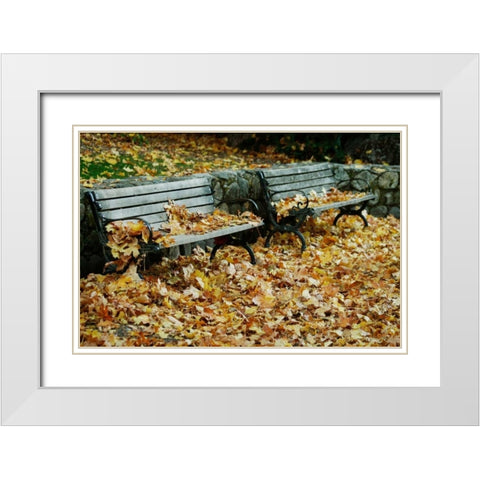 Autumn Paradise I White Modern Wood Framed Art Print with Double Matting by Geyman, Vitaly
