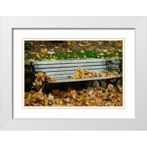 Autumn Paradise II White Modern Wood Framed Art Print with Double Matting by Geyman, Vitaly