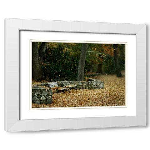 Autumn Paradise III White Modern Wood Framed Art Print with Double Matting by Geyman, Vitaly
