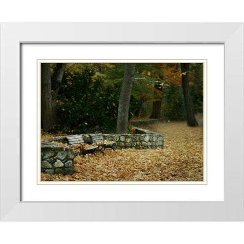 Autumn Paradise III White Modern Wood Framed Art Print with Double Matting by Geyman, Vitaly