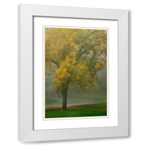Colors in the Mist V White Modern Wood Framed Art Print with Double Matting by Geyman, Vitaly