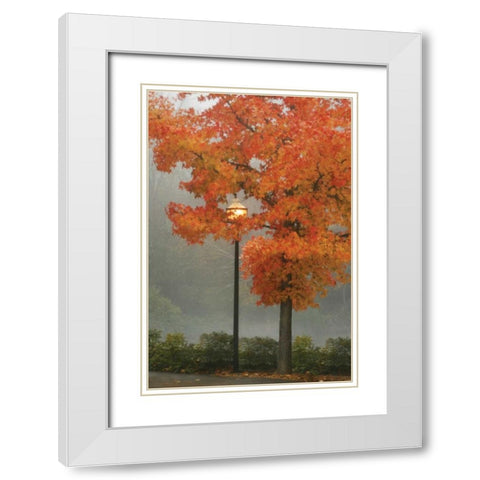 Colors in the Mist II White Modern Wood Framed Art Print with Double Matting by Geyman, Vitaly