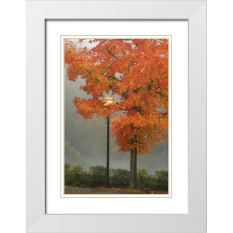 Colors in the Mist II White Modern Wood Framed Art Print with Double Matting by Geyman, Vitaly