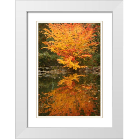 Fall Bouquet II White Modern Wood Framed Art Print with Double Matting by Geyman, Vitaly