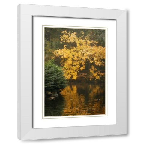 Autumn Reflections I White Modern Wood Framed Art Print with Double Matting by Geyman, Vitaly