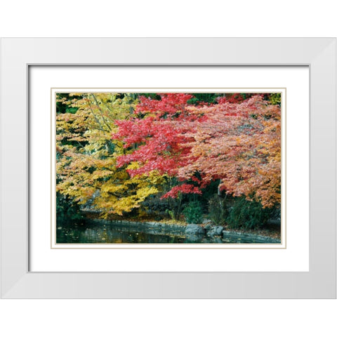 Autumn Trio I White Modern Wood Framed Art Print with Double Matting by Geyman, Vitaly