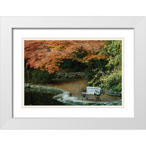 Autumn Trio II White Modern Wood Framed Art Print with Double Matting by Geyman, Vitaly
