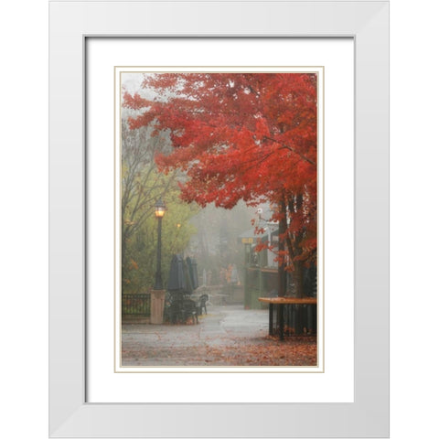 Fall Plaza III White Modern Wood Framed Art Print with Double Matting by Geyman, Vitaly