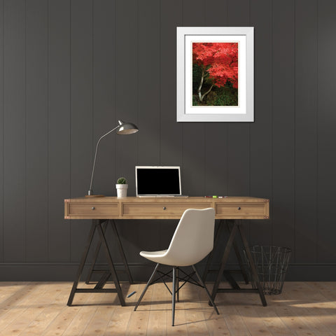 Maple Beauty I White Modern Wood Framed Art Print with Double Matting by Geyman, Vitaly