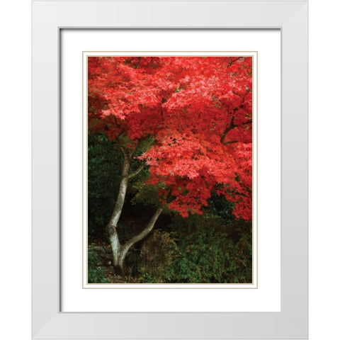 Maple Beauty I White Modern Wood Framed Art Print with Double Matting by Geyman, Vitaly