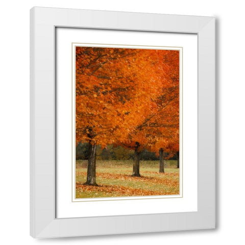 Splash of Color II White Modern Wood Framed Art Print with Double Matting by Geyman, Vitaly