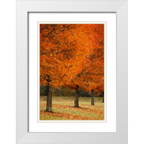 Splash of Color II White Modern Wood Framed Art Print with Double Matting by Geyman, Vitaly