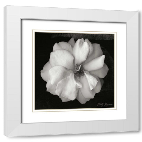 Wild Rose Square White Modern Wood Framed Art Print with Double Matting by Geyman, Vitaly
